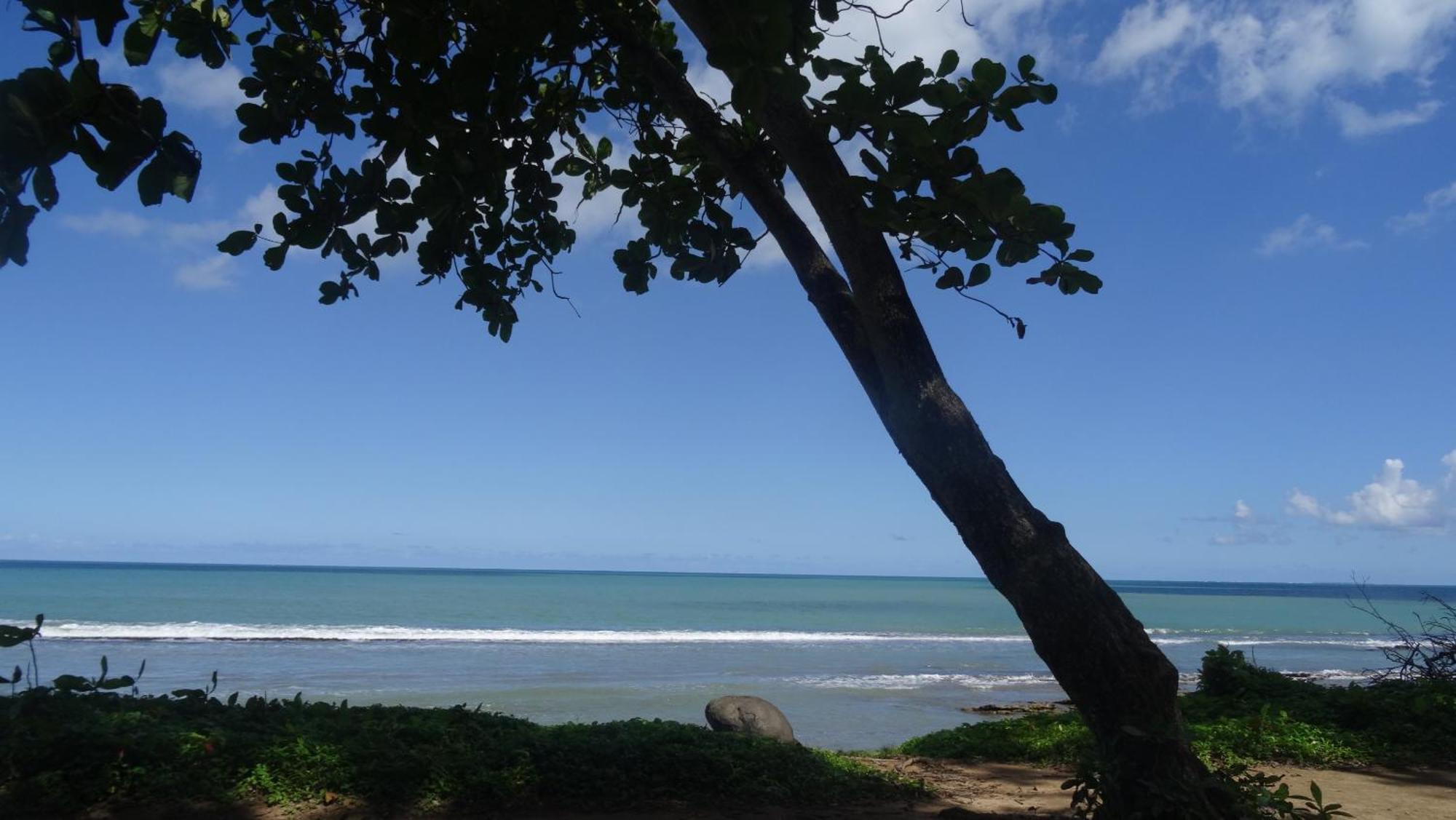 Holidays Guadeloupe Plessis-Nogent Zimmer foto